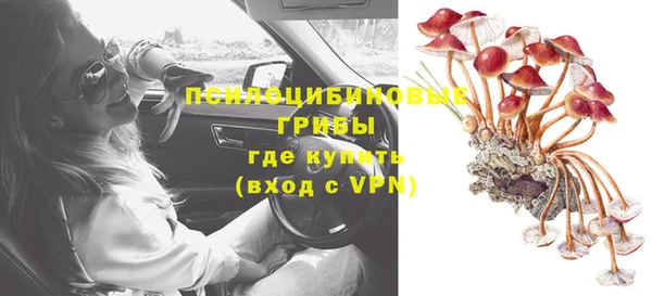 хмурый Алзамай