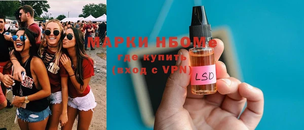 хмурый Алзамай