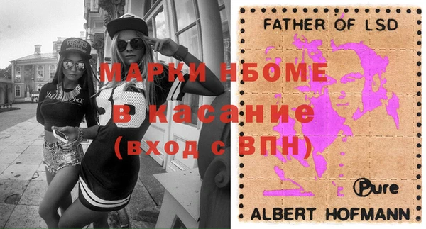 хмурый Алзамай