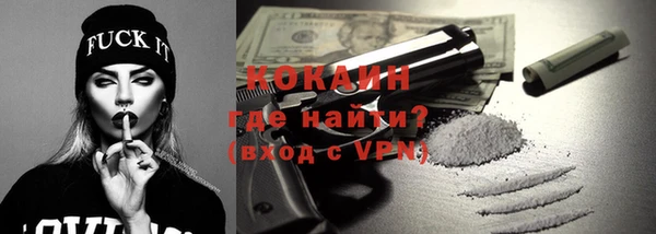 хмурый Алзамай