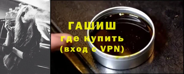 гашик Алексин