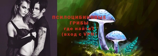 гашик Алексин